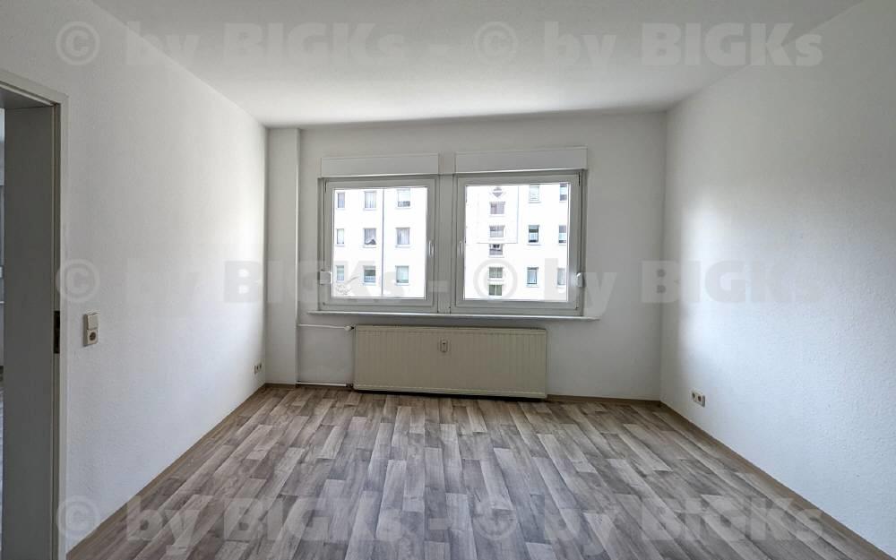 Zimmer3