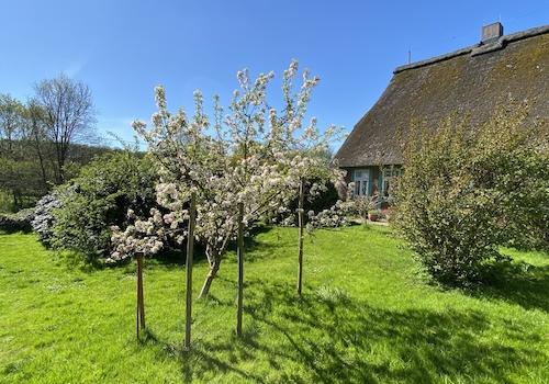 Seitenansicht Haupthaus