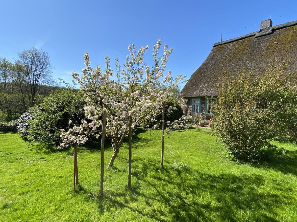 Seitenansicht Haupthaus