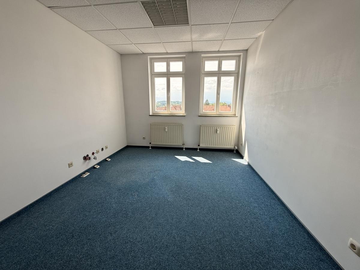 Zimmer1
