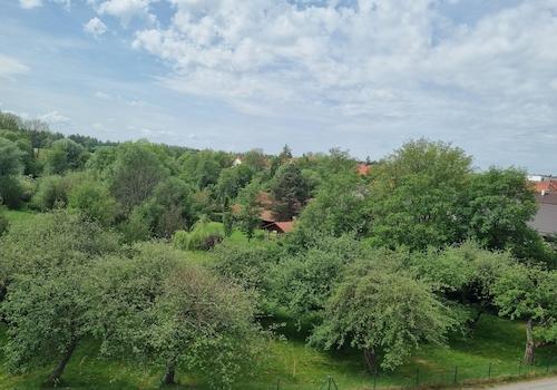 Blick vom Westbalkon