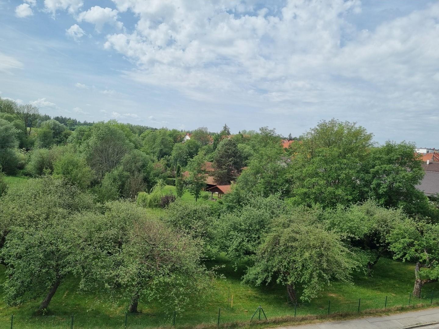 Blick vom Westbalkon
