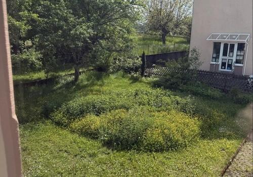 Garten direkt am Haus