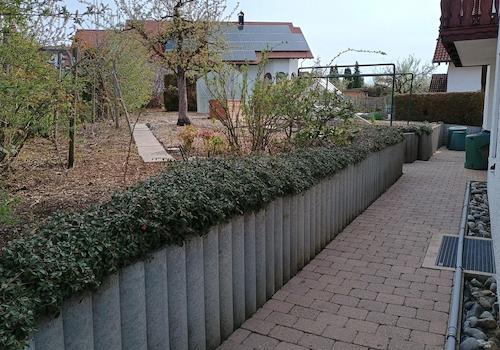 Obst und Gemüsegarten