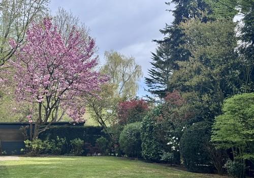 Garten mit Brunnen 