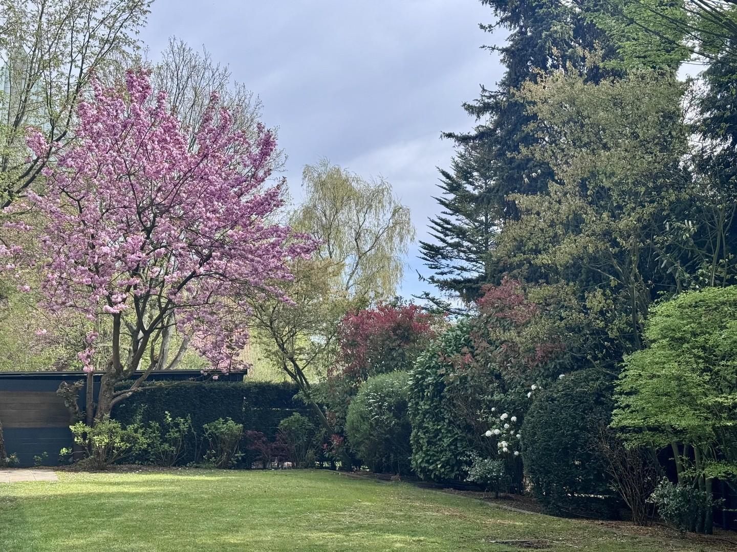 Garten mit Brunnen 