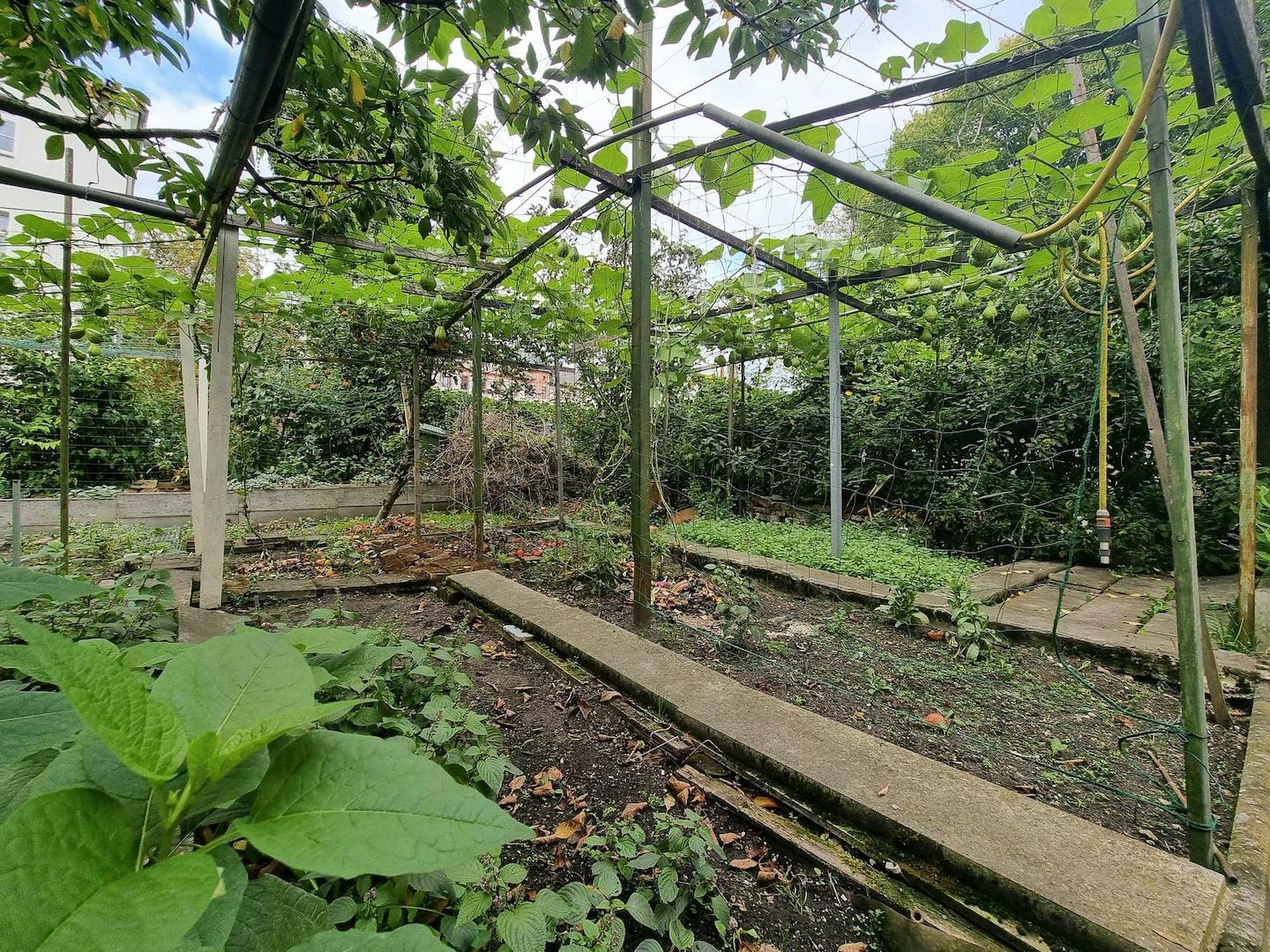 Garten 