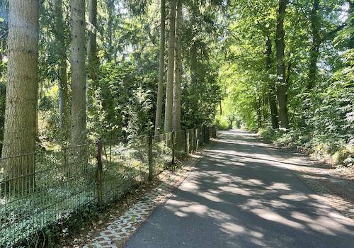Anliegerstraße