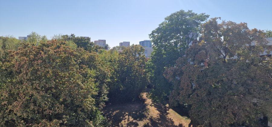 Park