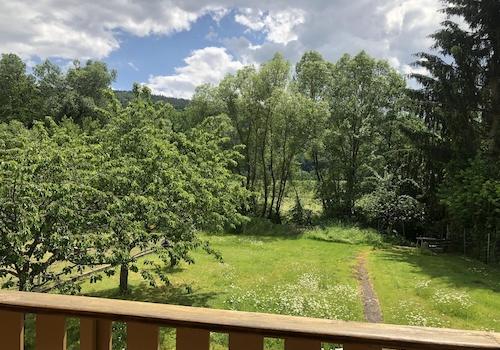 Blick in den Garten