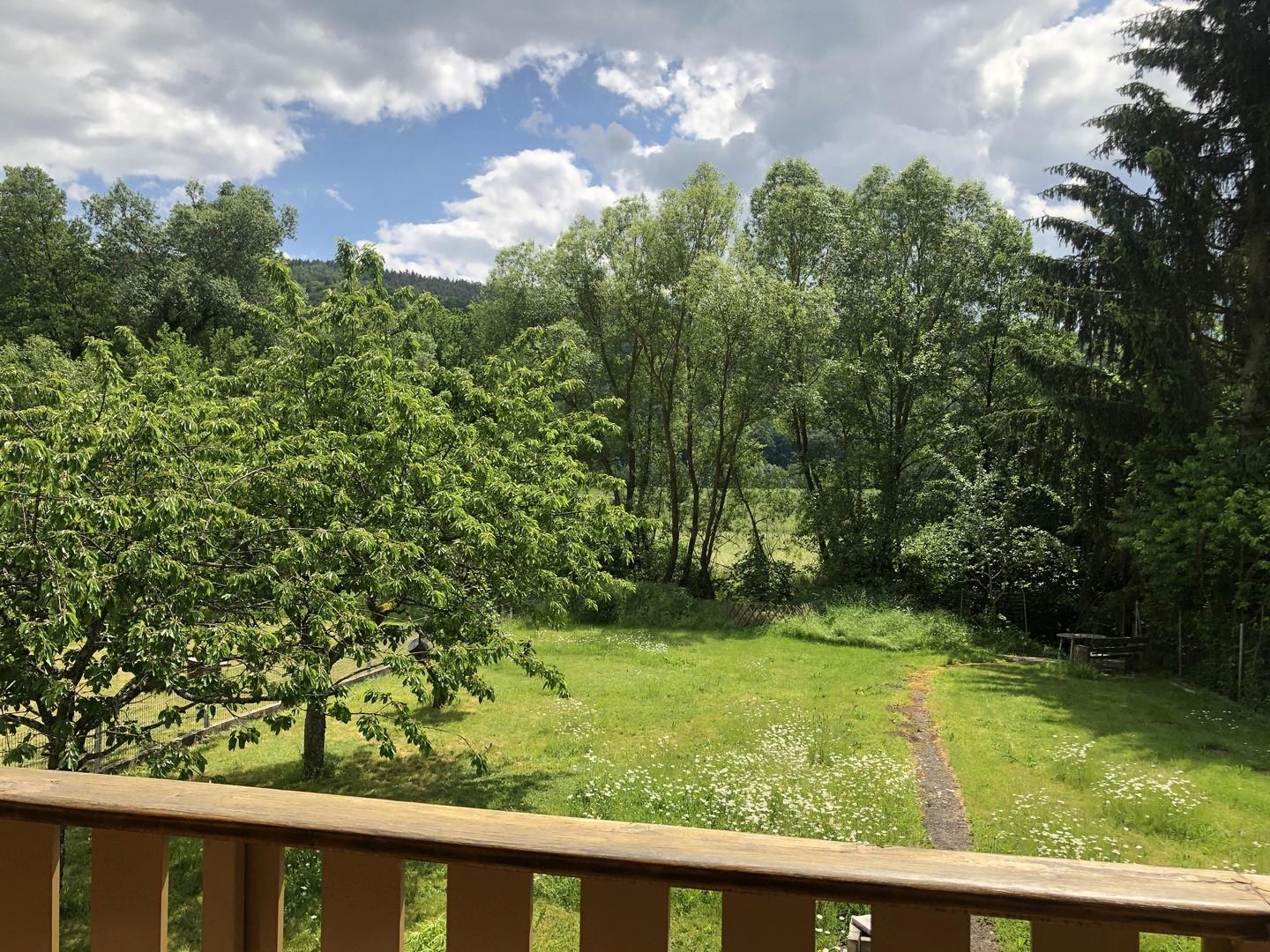 Blick in den Garten