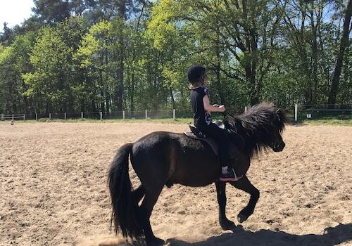 Top Reitunterricht nebenan