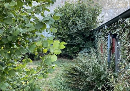Garten 2 