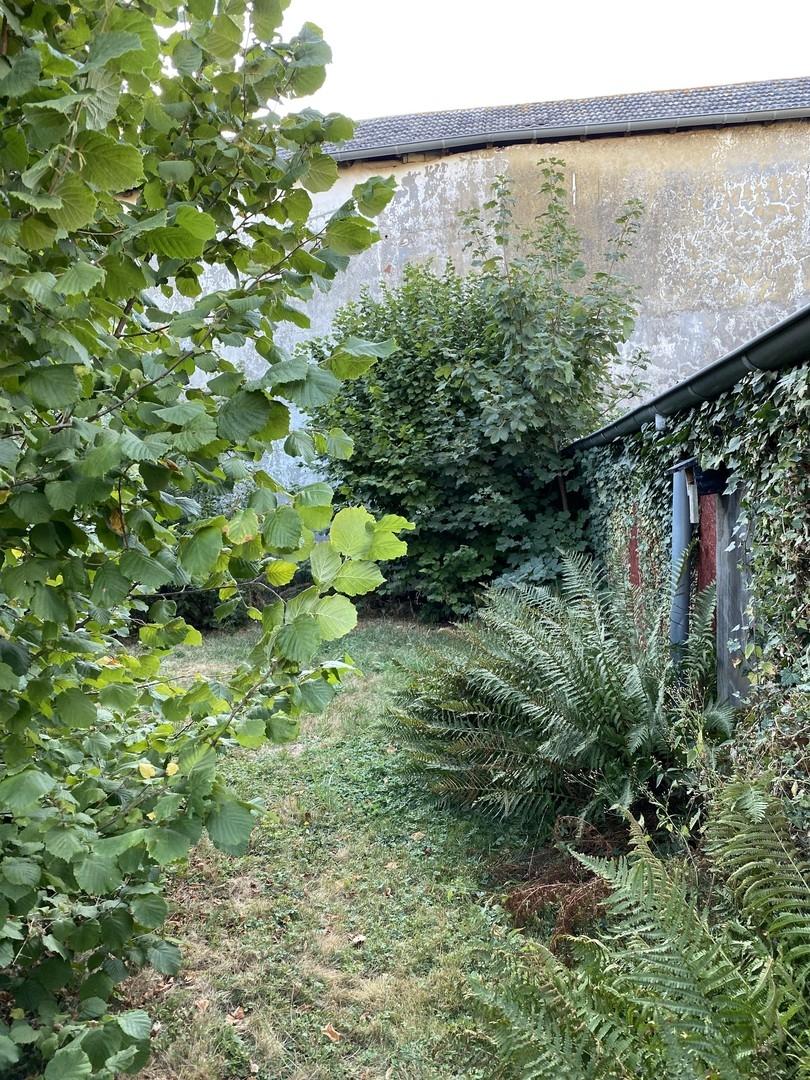 Garten 2 