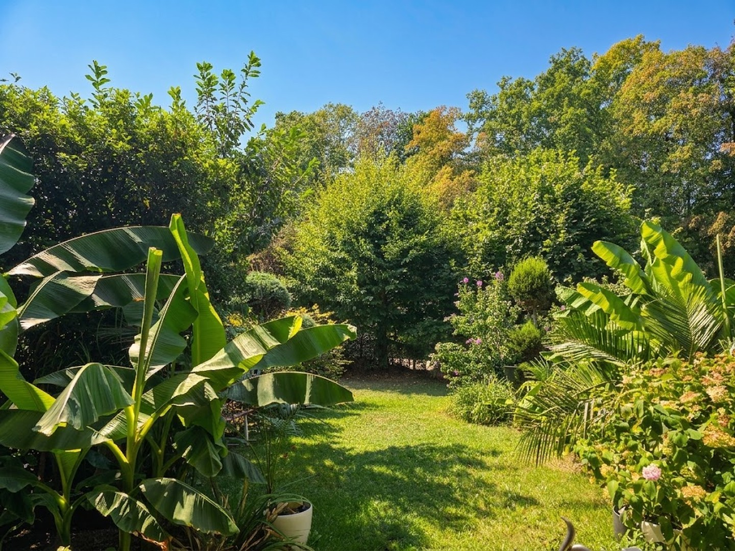 Garten-Blick ins Grüne