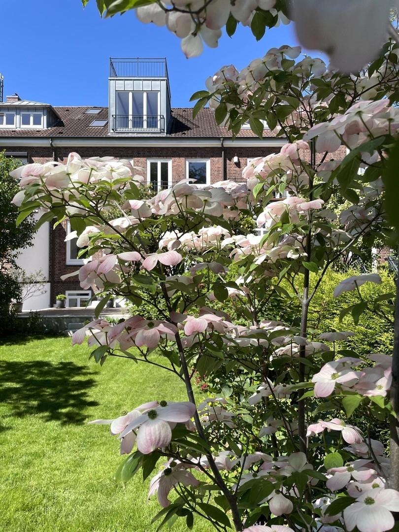 Gartenansicht
