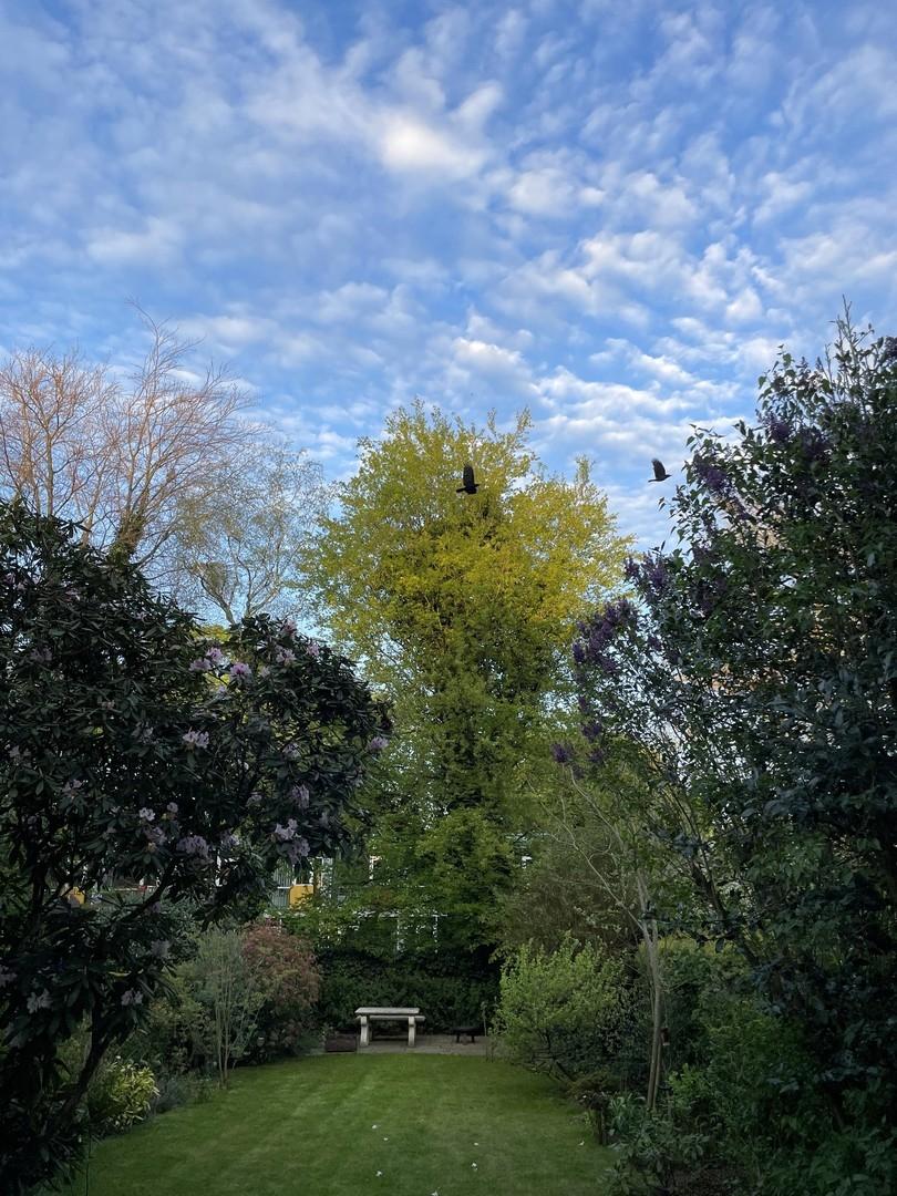 Gartenstimmung