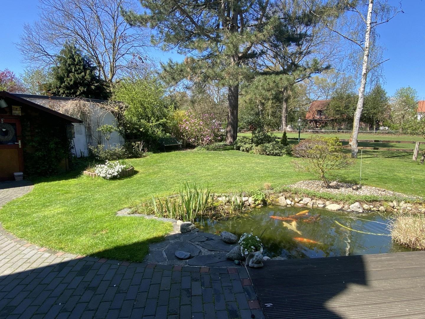 Gartenansicht aus der Küche