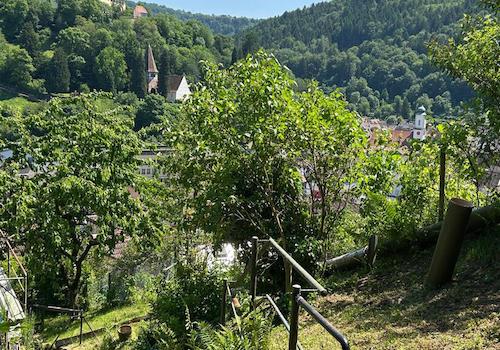 Blick auf Schloss