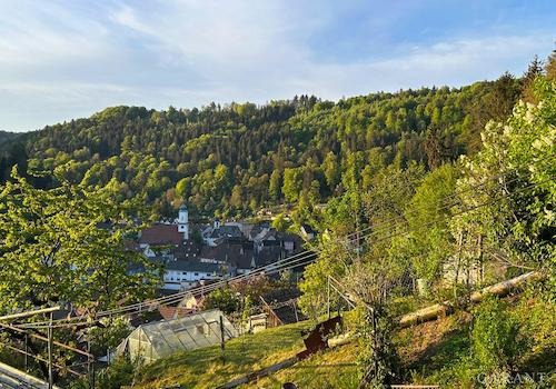 Morgenstimmung