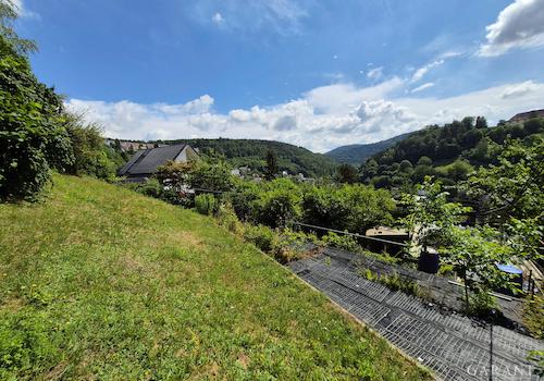 Blick Enztal