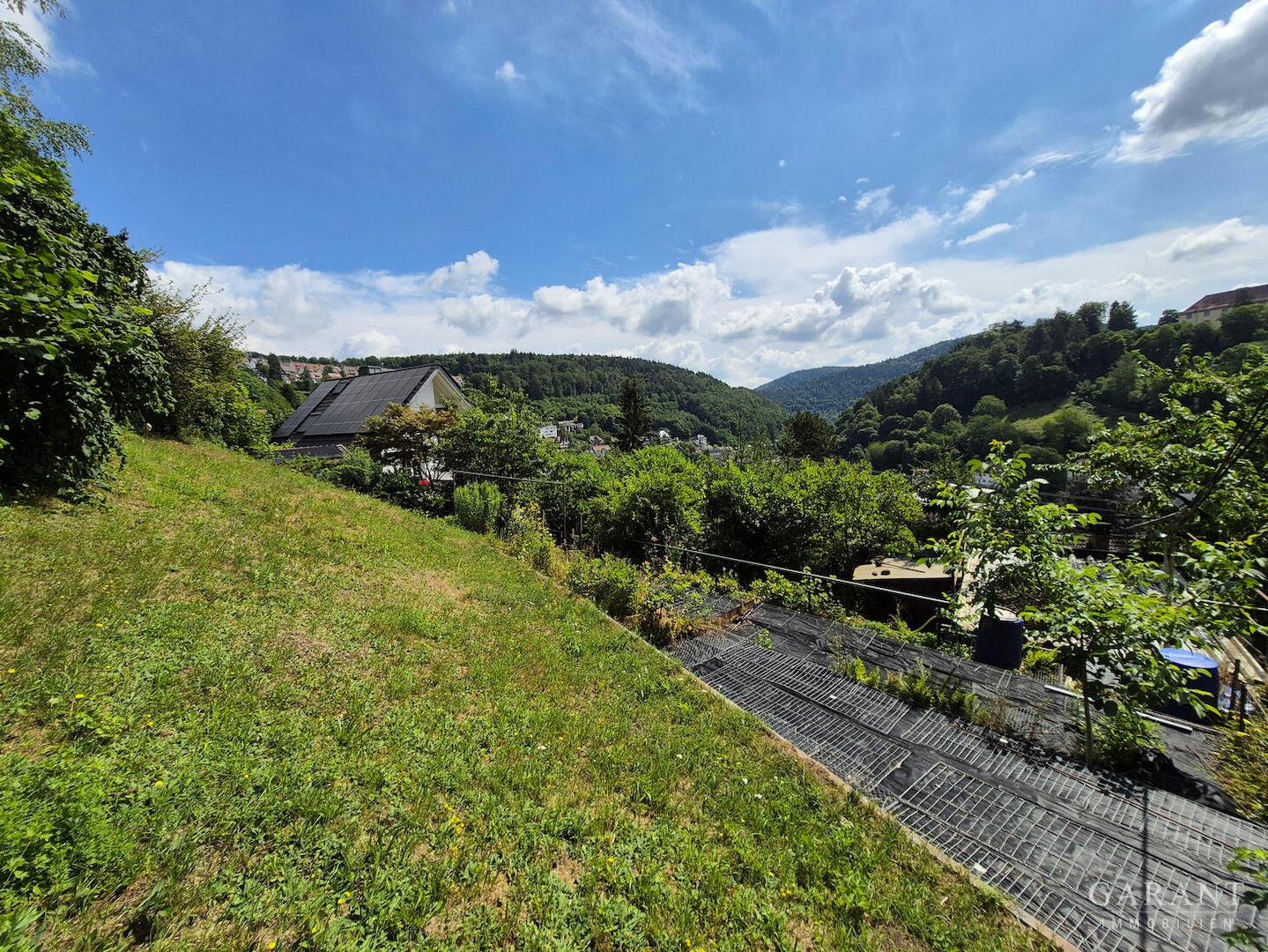 Blick Enztal