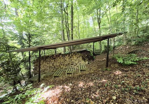 Holzlege im Wald