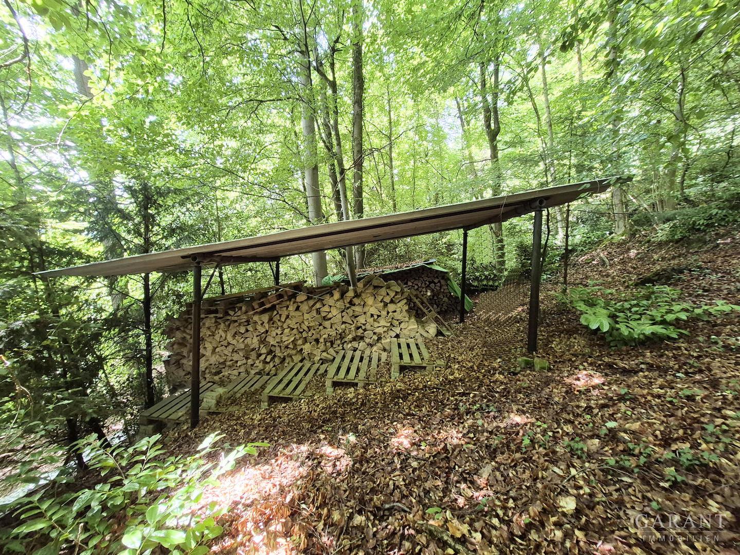 Holzlege im Wald