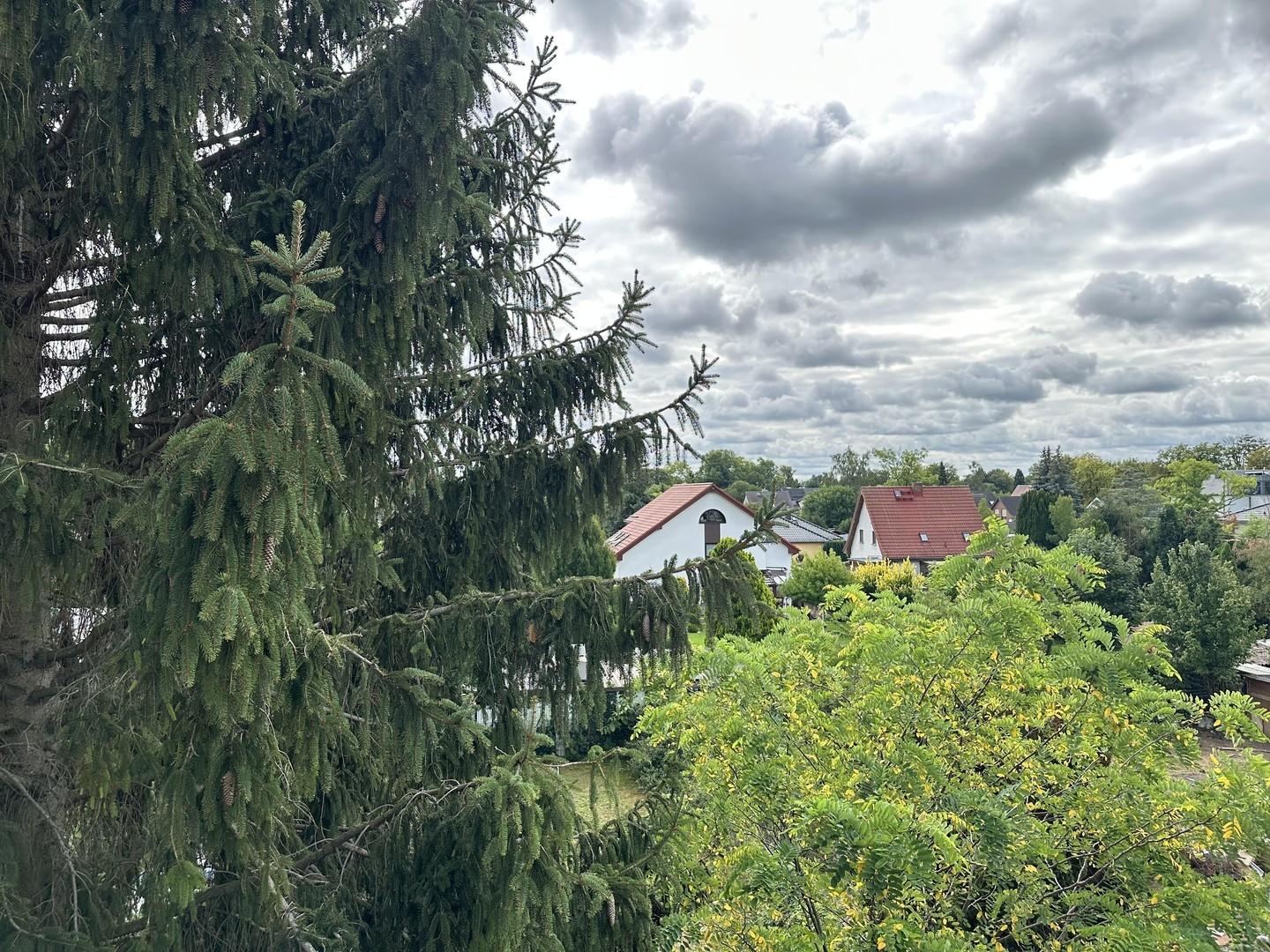 Blick vom Balkon