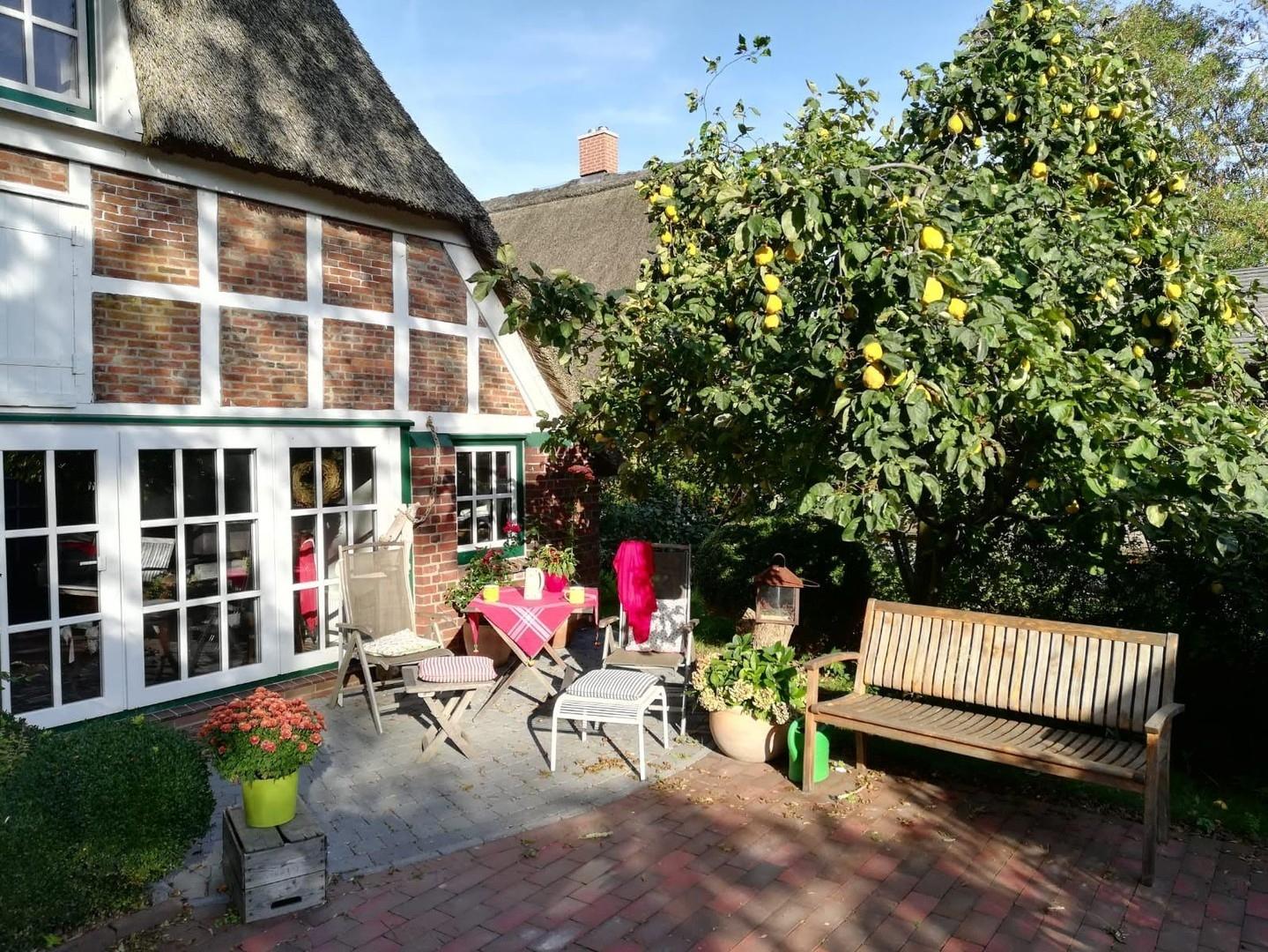 Terrasse hinterm Haus