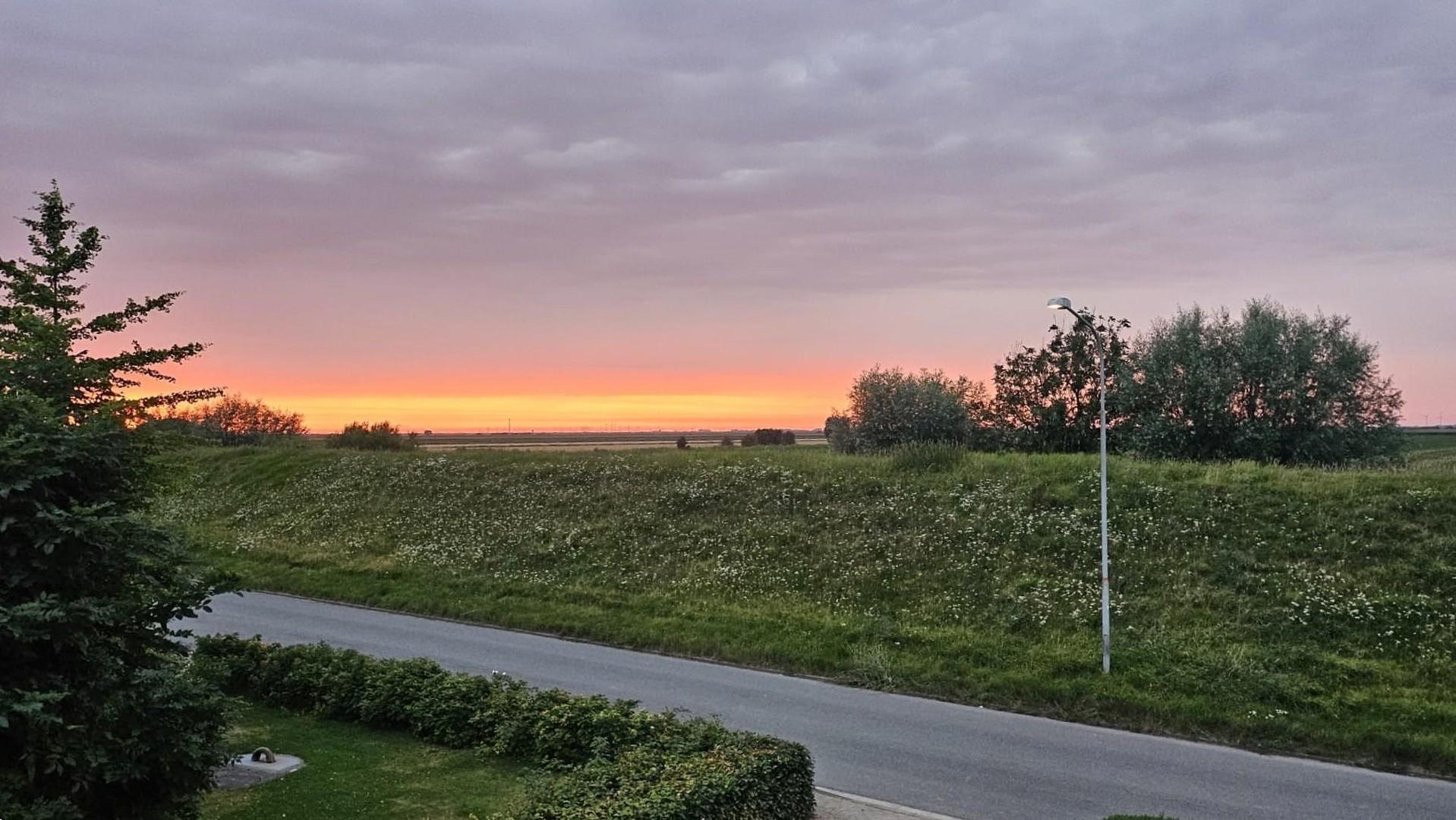 Blick auf die Elbe vom OG