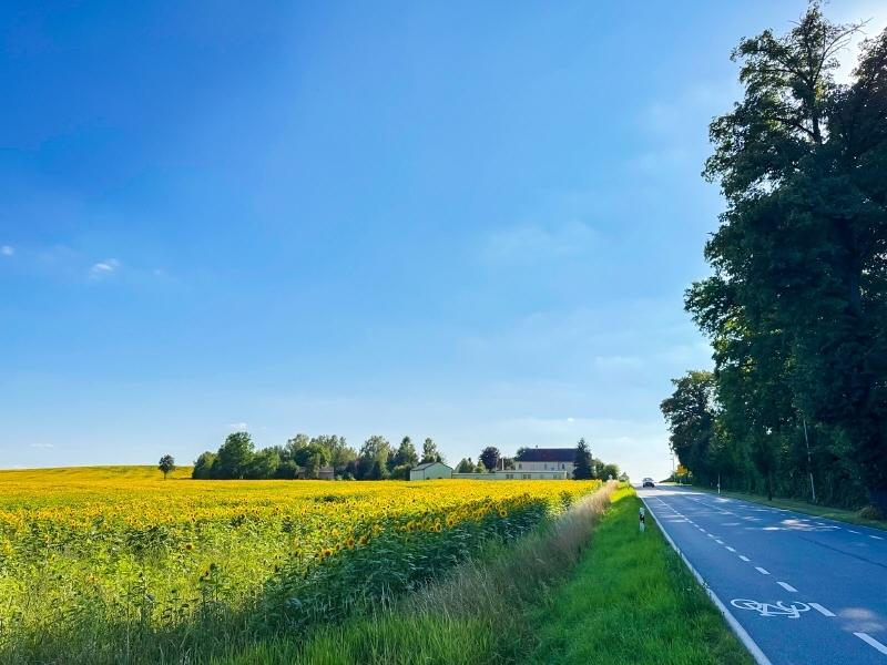 Richtung Dresden