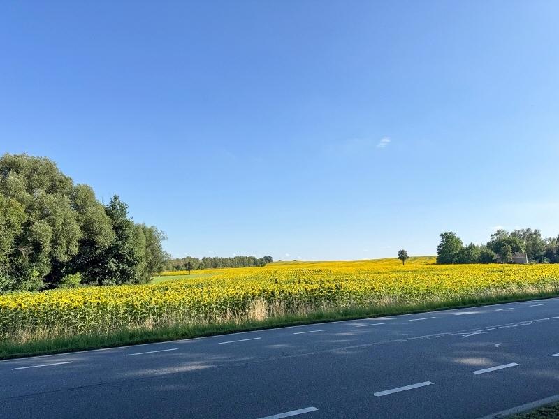 Viel Platz