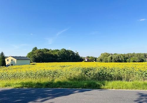 Ansicht von der Nebenstraße