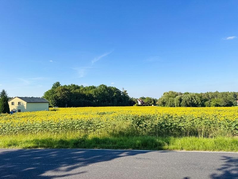 Ansicht von der Nebenstraße