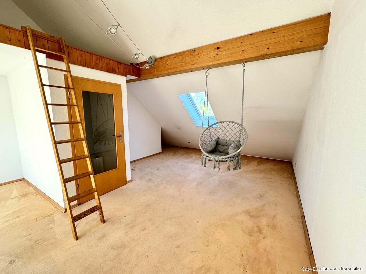 DG Studio