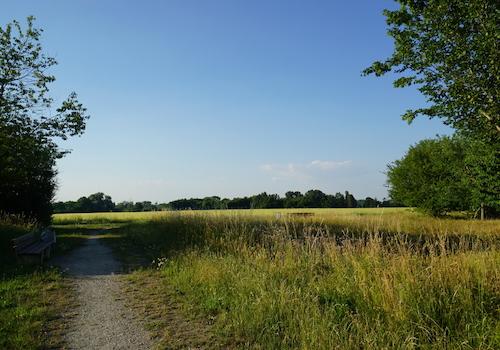 Umgebung direkt vor der Haustür