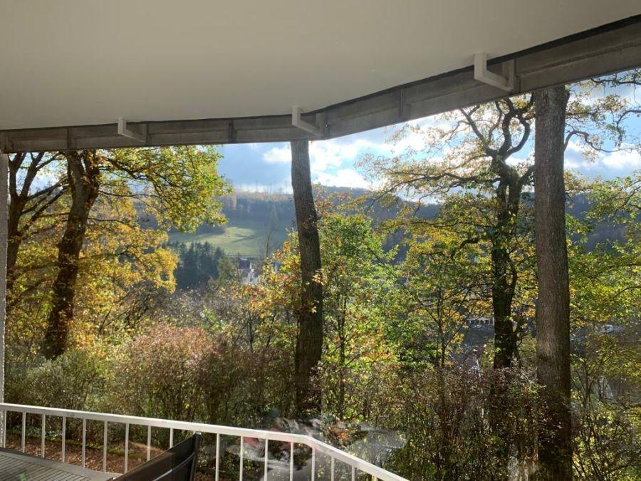 Balkon 1