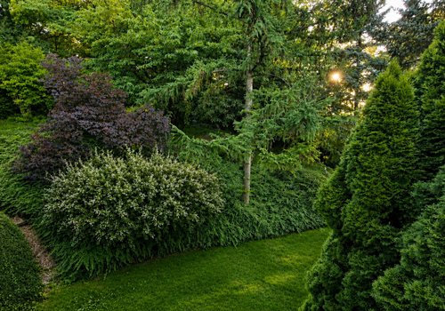 Der Garten rechts mit Baumöglichkeit