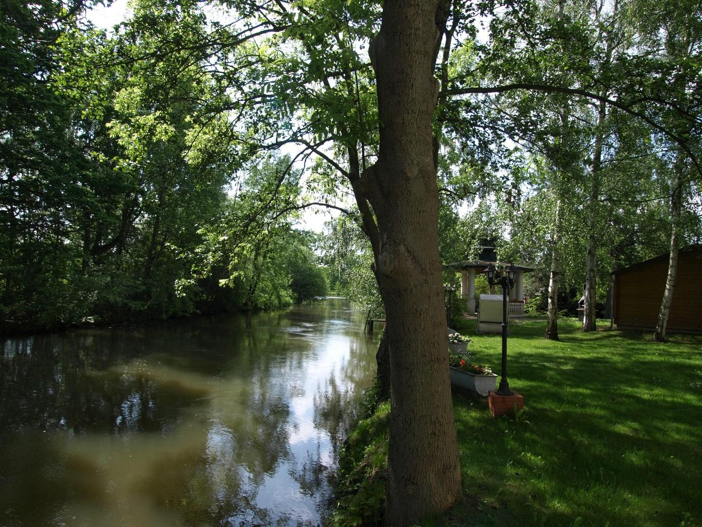 Ufer Weiße Elster