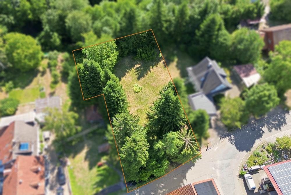 Großzügiges Grundstück in Hasel