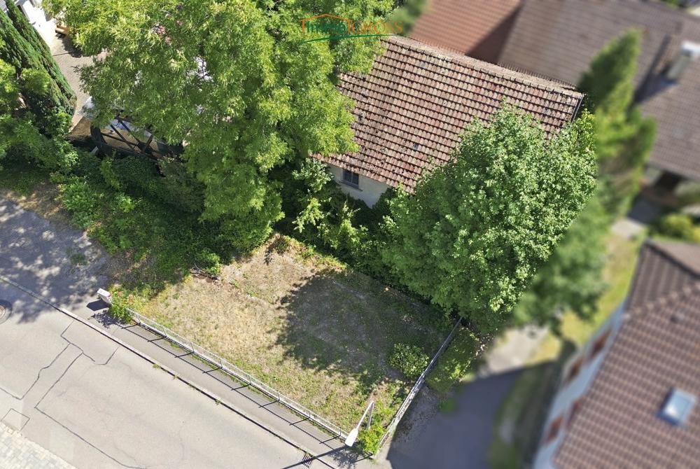 Das Grundstück und Mühle von oben