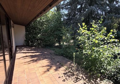 EG Terrasse 