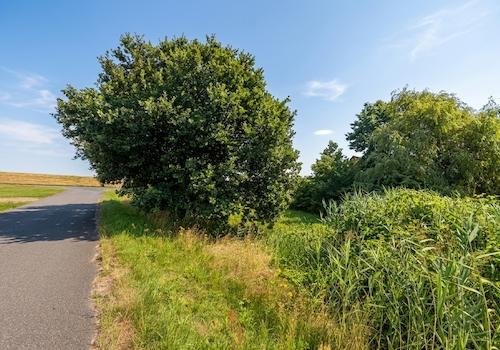 Blick von der Nebenstraße