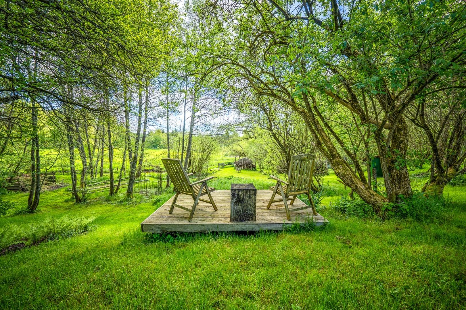 Sonnenterrasse im Grünen