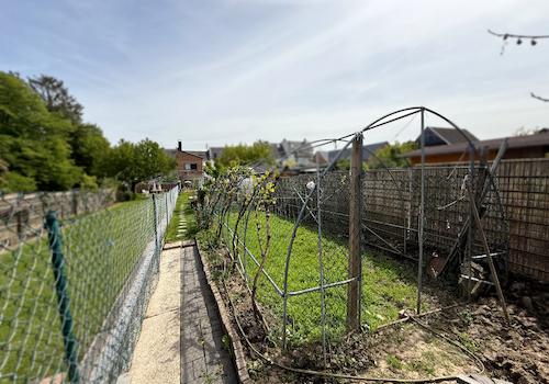 Garten 2