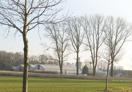 Landwirtschaftliche Flächen