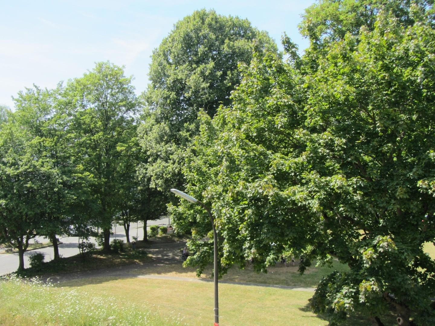 Ausblick Loggia