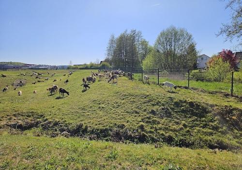 Mit Blick auf den Tierpark ;-)