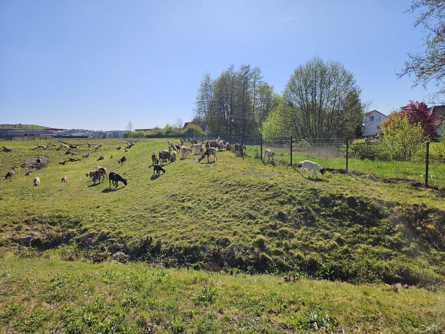 Mit Blick auf den Tierpark ;-)